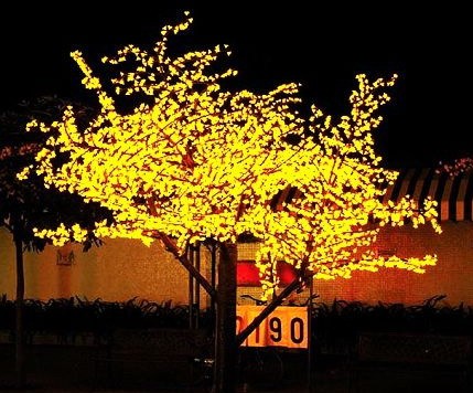cherry blossom tree light