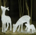 /album/photogallery/deer-jpg/