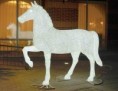 /album/photogallery/horse-jpg/
